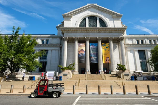 A nemzeti Természettudományi Múzeum Washington D. C. — Stock Fotó