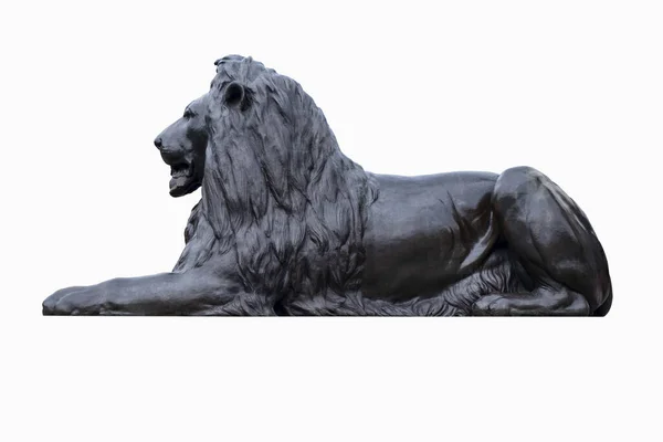 ロンドンのトラファルガー広場にライオンのブロンズ像 クリッピングパスと白の背景に隔離 — ストック写真