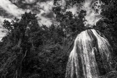 Soroa şelalesi Küba 'daki yemyeşil tropikal bitki örtüsü arasında. Siyah ve beyaz görüntüler