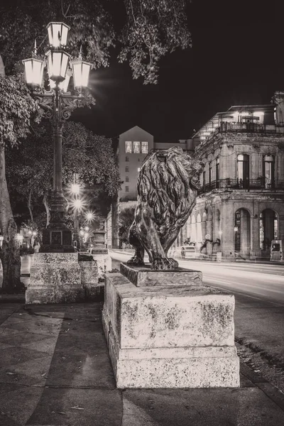 Νυχτερινή Σκηνή Στην Παλιά Αβάνα Περίφημο Χάλκινο Λιοντάρι Στη Λεωφόρο — Φωτογραφία Αρχείου