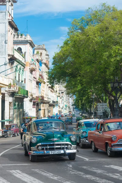 Havana vintage otomobillerde grup — Stok fotoğraf