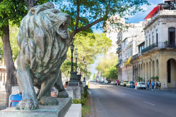 León de bronce en El Prado en La Habana —  Fotos de Stock