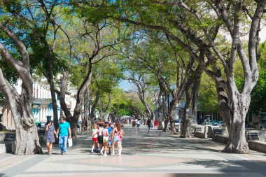 Paseo del Prado Street insanlar