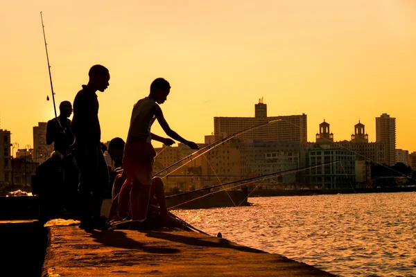 Jonge jongens vissen — Stockfoto