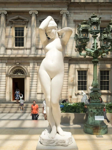 Naakt Venus in het Metropolitan Museum in New York — Stockfoto