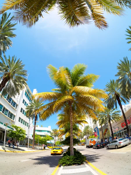 A Lincoln Road bevásárló utcája Miami Beach — Stock Fotó