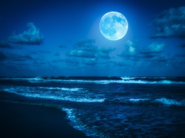 Beach gece yarısı dolunay ile