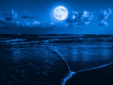 Beach gece yarısı dolunay ile