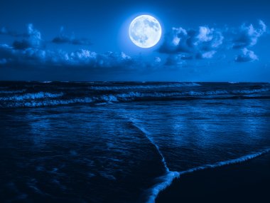 Beach at midnight with a full moon clipart