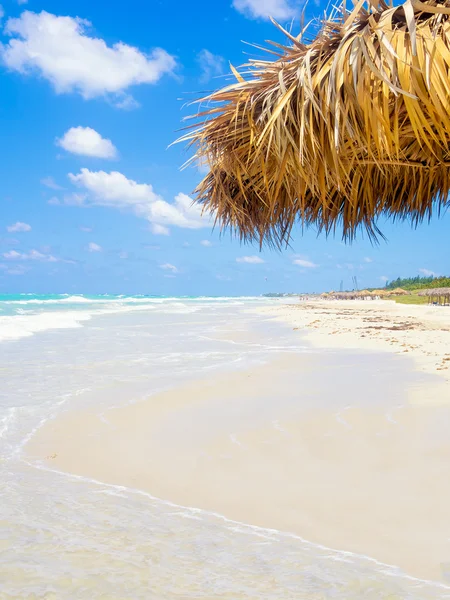 A gyönyörű tengerpart, Varadero, Kuba — Stock Fotó