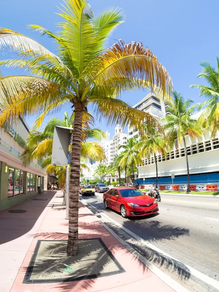 Stedelijke scène met tropische palmen in Miami Beach — Stockfoto