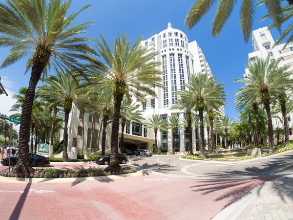 A fényűző Loews Miami Beach Hotel és trópusi pálmák gard — Stock Fotó