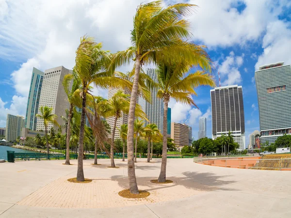 Bicentennial park in Miami with a view of the city skyline — Stock Photo, Image