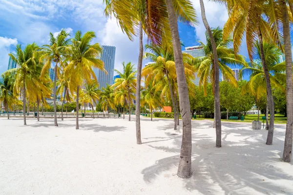 Playa de arena en el parque Bicentennial en Miami — Foto de Stock