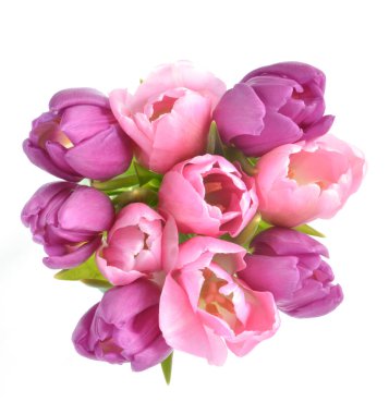 Pembe ve mor laleler tepeden yaklaşıyor.. 