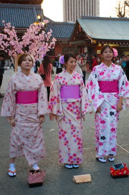 TOKYO, JAPONAN - 23 Mart 2014: Tokyo 'daki Senso-ji Tapınağı' nda Kiraz Çiçeği (Sakura) adlı geleneksel bir elbise giyen genç Japon kadınları.