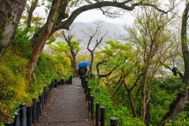 Japonya, Kamakura 'daki Hasadera Tapınağı' nın Zen Bahçesi