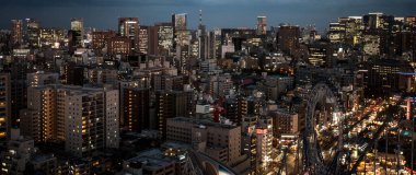 TOKYO - 4 Nisan 2014: Tokyo 'nun 4 Nisan 2014' te gün batımında havadan görünüşü.