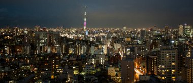 TOKYO - 4 Nisan 2014: Tokyo 'nun 4 Nisan 2014' te gün batımında havadan görünüşü.