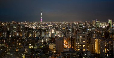 TOKYO - 4 Nisan 2014: Tokyo 'nun 4 Nisan 2014' te gün batımında havadan görünüşü.