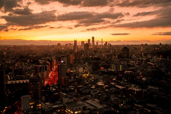 Tokyo Kwiecień 2014 Widok Lotu Ptaka Tokio Zachodzie Słońca Kwietnia — Zdjęcie stockowe