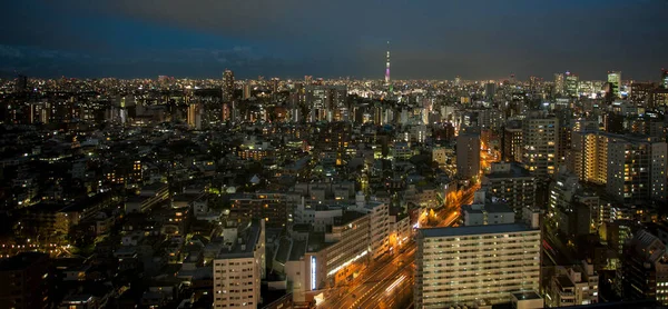 Tokyo April 2014 Flygfoto Över Tokyo Vid Solnedgången Den April — Stockfoto