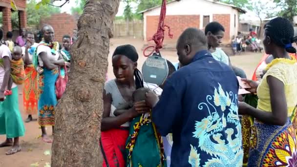 말라위의 릴롱궤 교외에 있는난 리에서 어린이 측정하는 신원이 사람들 2020 — 비디오