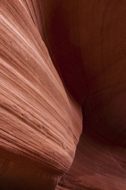 Antilop Kanyonu, Page, Arizona, ABD yakınlarında. Antilop Kanyonu, Amerika 'nın güneybatısındaki en çok ziyaret edilen ve en çok fotoğraflanan kanyondur..