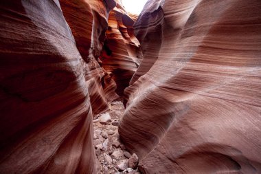 Antilop Kanyonu, Page, Arizona, ABD yakınlarında. Antilop Kanyonu, Amerika 'nın güneybatısındaki en çok ziyaret edilen ve en çok fotoğraflanan kanyondur..