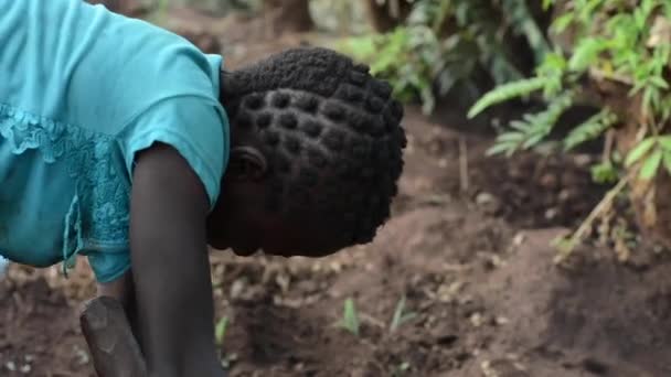 Невідома Дівчина Працює Фермі Дедзі Малаві Грудня 2020 Року — стокове відео