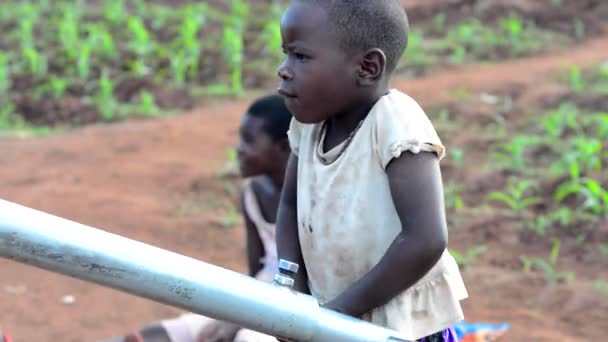 Crianças Não Identificadas Poço Dedza Malawi Dezembro 2020 — Vídeo de Stock