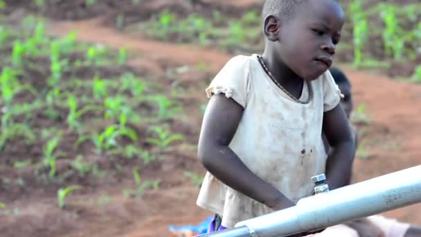 Нерозпізнані Діти Колодязі Дедзі Малаві Грудня 2020 Року — стокове відео