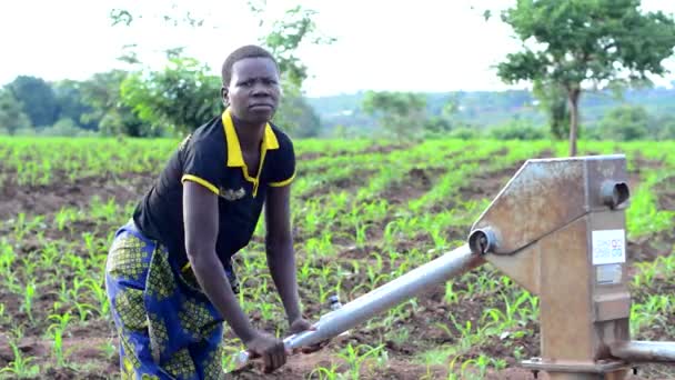 Femme Non Identifiée Dans Puits Dedza Malawi Décembre 2020 — Video