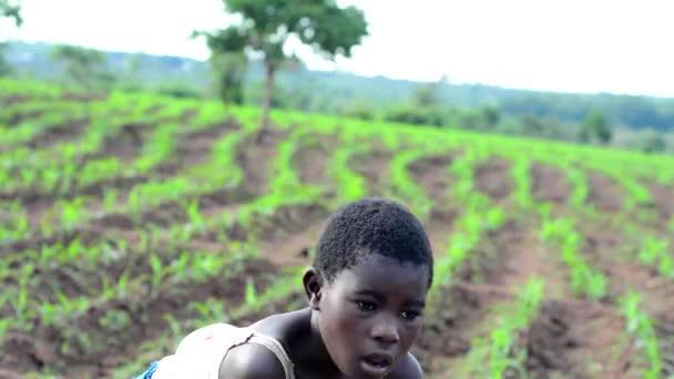 말라위 우물에서 신원이 2020 — 비디오