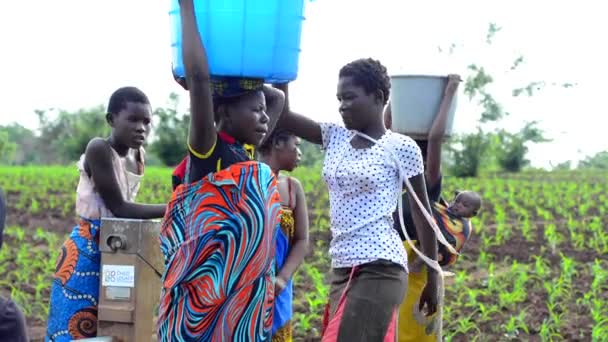 Mulheres Crianças Não Identificadas Poço Dedza Malawi Dezembro 2020 — Vídeo de Stock