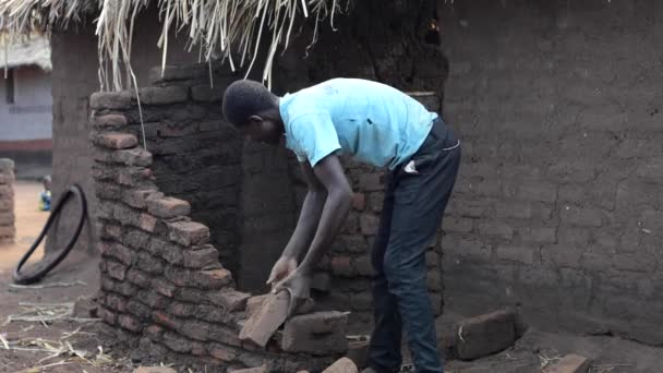 Jeune Homme Non Identifié Construisant Mur Briques Dedza Malawi Décembre — Video