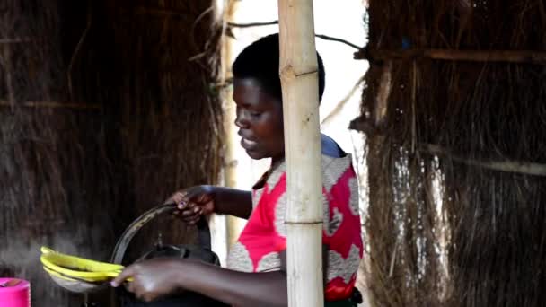 Mulher Não Identificada Cozinhando Alimentos Nanjiri Nos Arredores Lilongwe Malawi — Vídeo de Stock