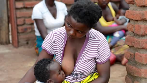 Неідентифікована Жінка Годує Грудьми Немовлятко Нандзірі Околиці Лілонгве Малаві Грудня — стокове відео