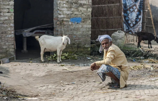 Raxaul India インドのビハール州ラクソールにおける未確認のインド人男性とヤギ2013年11月頃 — ストック写真