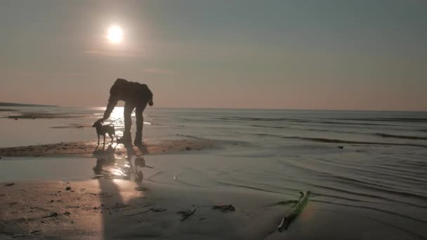 Meisje met een hondje op een zonsondergang zee — Stockvideo