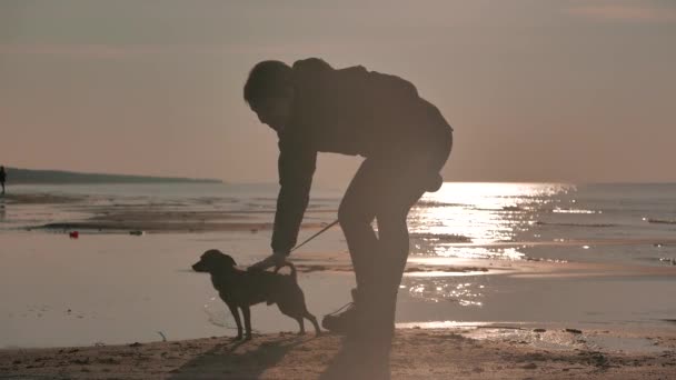 Menina com um cachorrinho em um pôr do sol mar — Vídeo de Stock