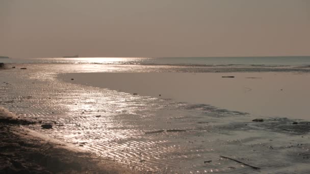 Onde del mare sulla spiaggia di sabbia — Video Stock