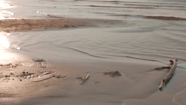 Sea Waves over Sand Beach — Stock Video