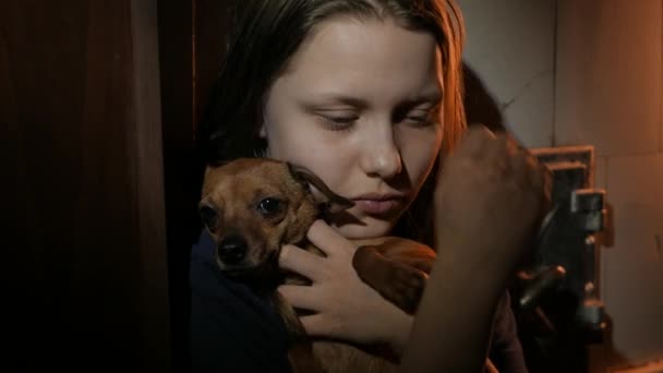 Küçük bir köpek, Uhd 4k ile karanlıkta genç genç kız — Stok video
