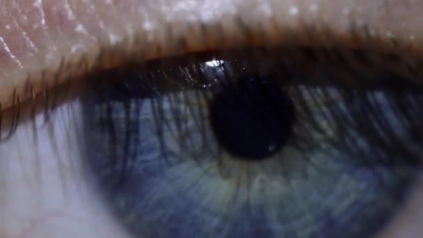 Gros plan macro vidéo d'un œil. 4K UHD 