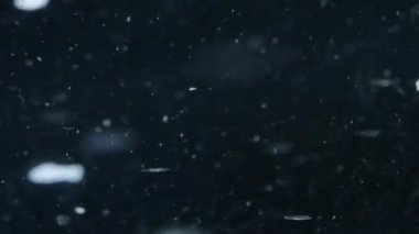 Makro closeup su ya da petrol, arka plan bir öğe. 4k Uhd.