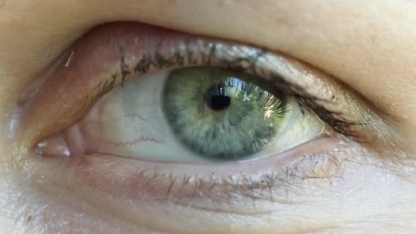 Blinking Human Eye Extreme Closeup Macro 4k Uhd Stock Video