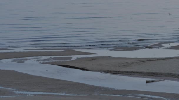 Ανατολή του ηλίου σε μια βόρεια παραλία της Βαλτικής. 4k Uhd. — Αρχείο Βίντεο