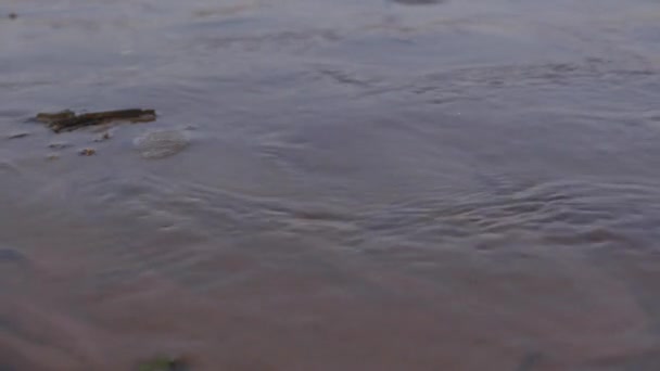 Вода тече через холодний пісок, крупним планом. 4K UHD . — стокове відео