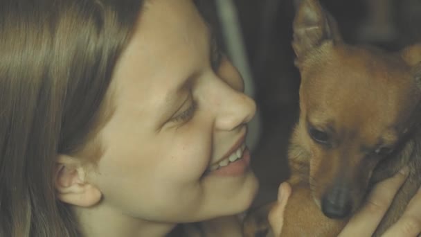 Sorrindo menina adolescente se divertindo com seu pequeno brinquedo terrier cachorrinho. 4K UHD . — Vídeo de Stock